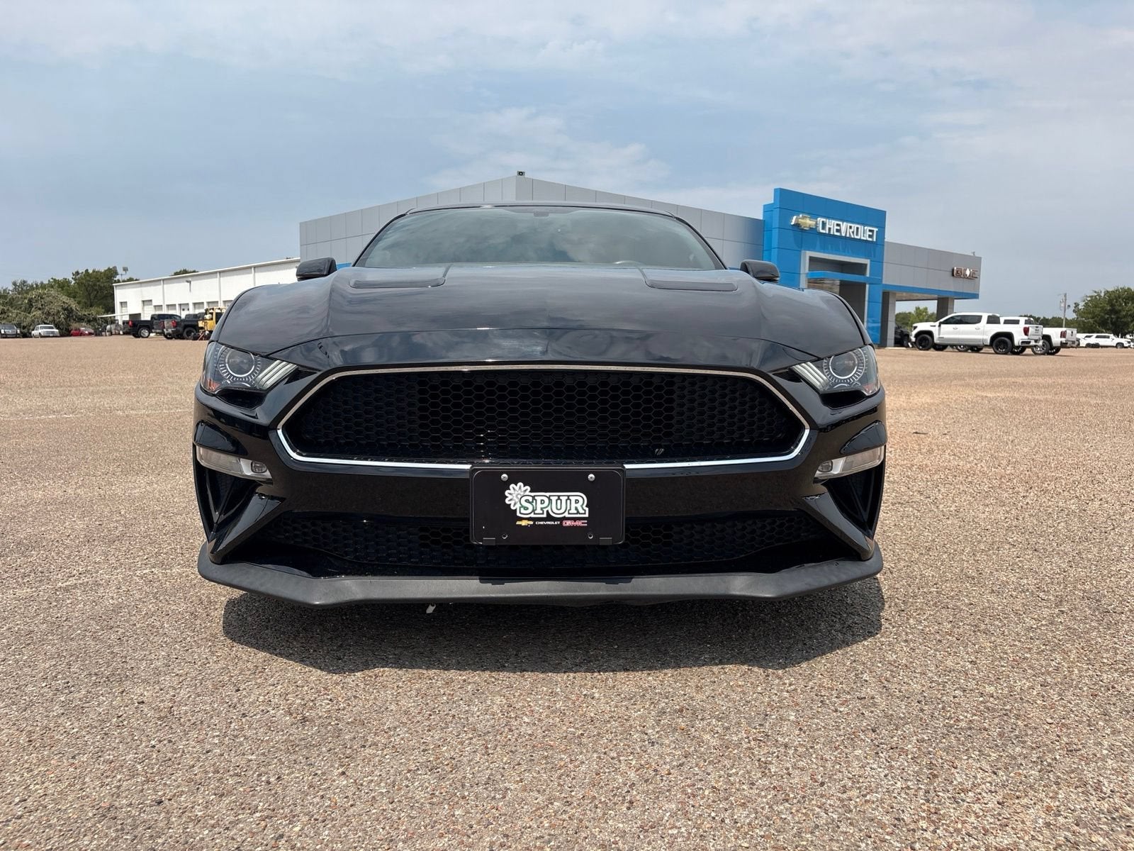 2019 Ford Mustang BULLITT